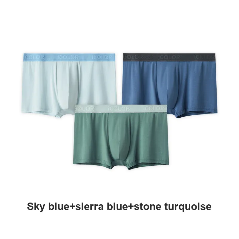 Icolor Men Underpants-25