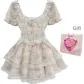 Pink Cropped Dress+Box