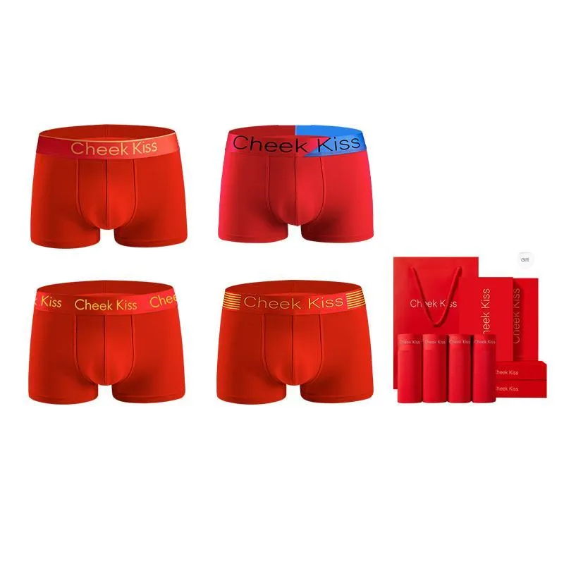 Cheekkiss Underwear Gift Boxes Men's Box 4 Pack-20