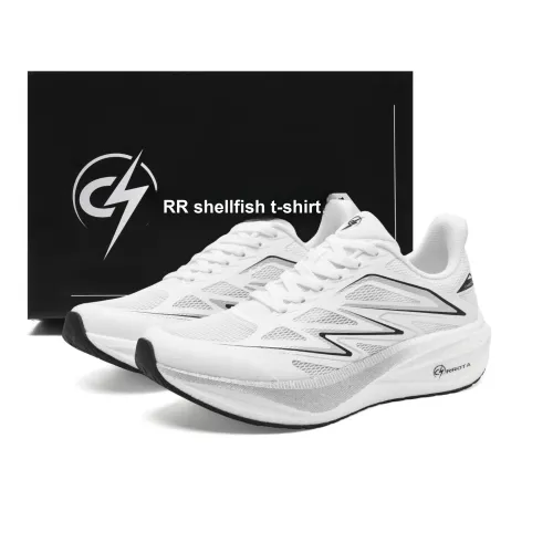 CHRROTA Низкий топ Беговые кроссовки Унисекс Серебристо-белый Swift Пилотный