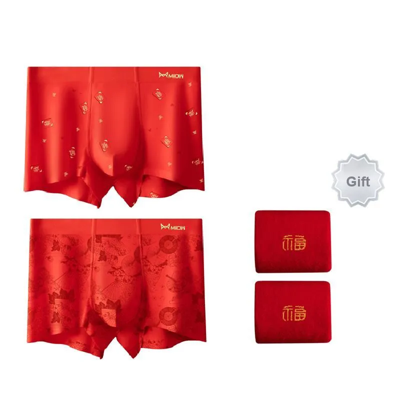 MIIOW Underpants Men's Gift Box Of 2 Strips-5