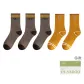 Camel 3+Ginger Yellow 2