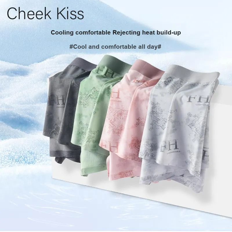 Cheekkiss Underpants Men's Box 4 Pack-32