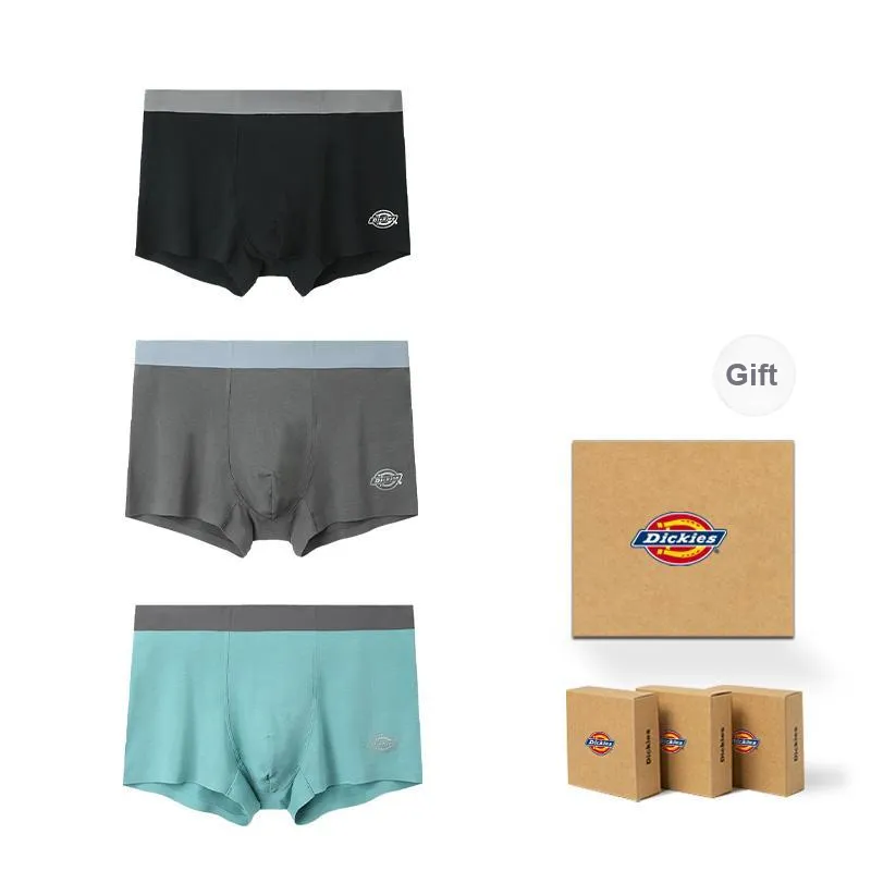 Dickies Underpants Men's Modal Cotton Premium Flat Box Combo Set-11