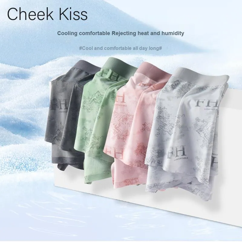 Cheekkiss Underpants Men's Box 4 Pack-12