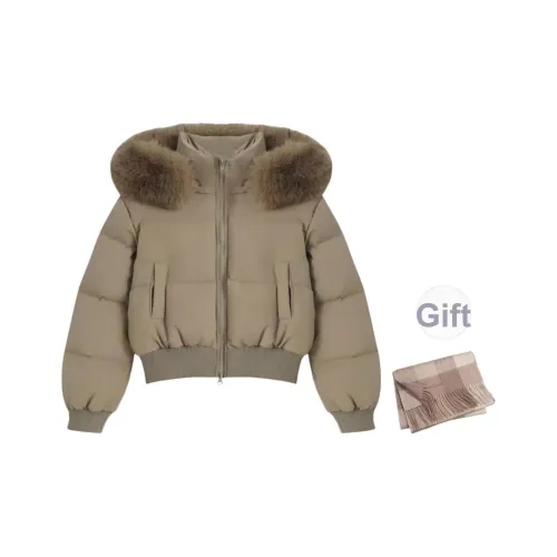 DITB Кофе Женские пуховики