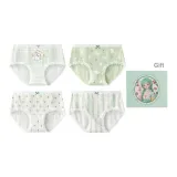 4 Pack (Green)
