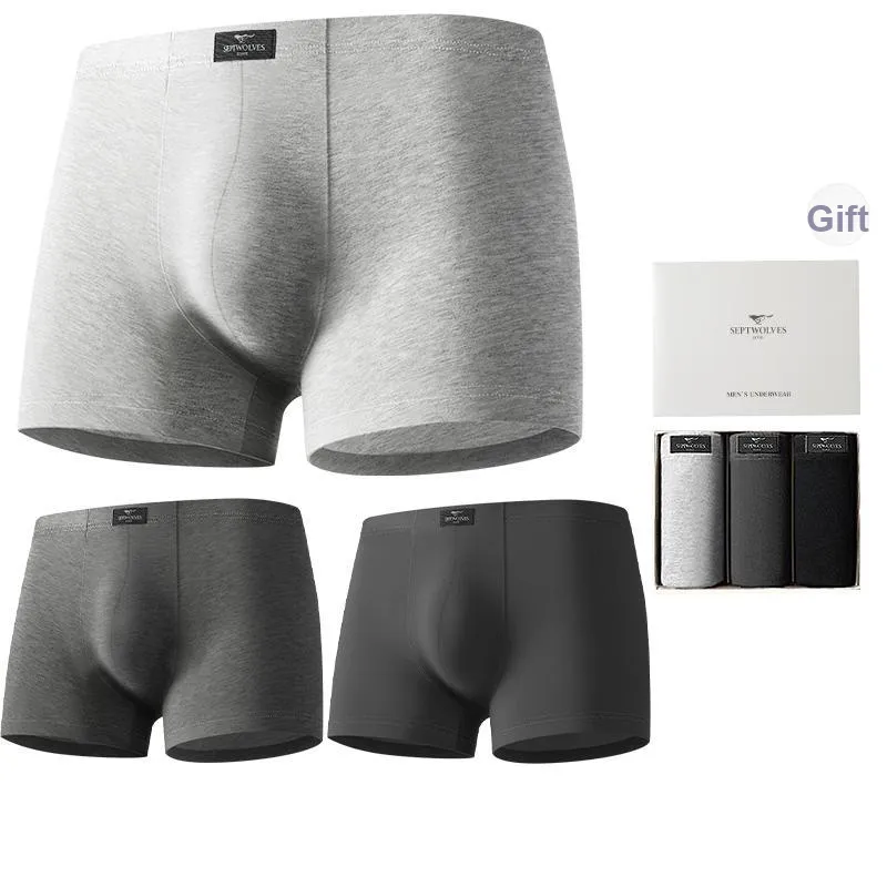 SEPTWOLVES Underwear Gift Box Men's-4