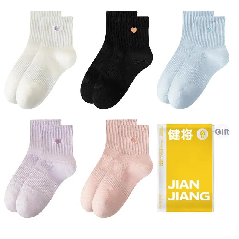 Master Mid Calf Socks Women's Combo Set-9