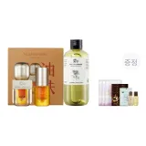 Ave 11 Seed Dual Chamber 오일 & 허니 60ml + 로즈 Pure 로션 300ml + 증정품
