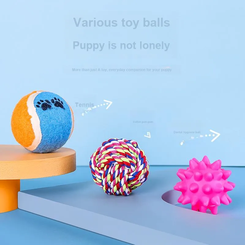 Pampering Pet Toys-7
