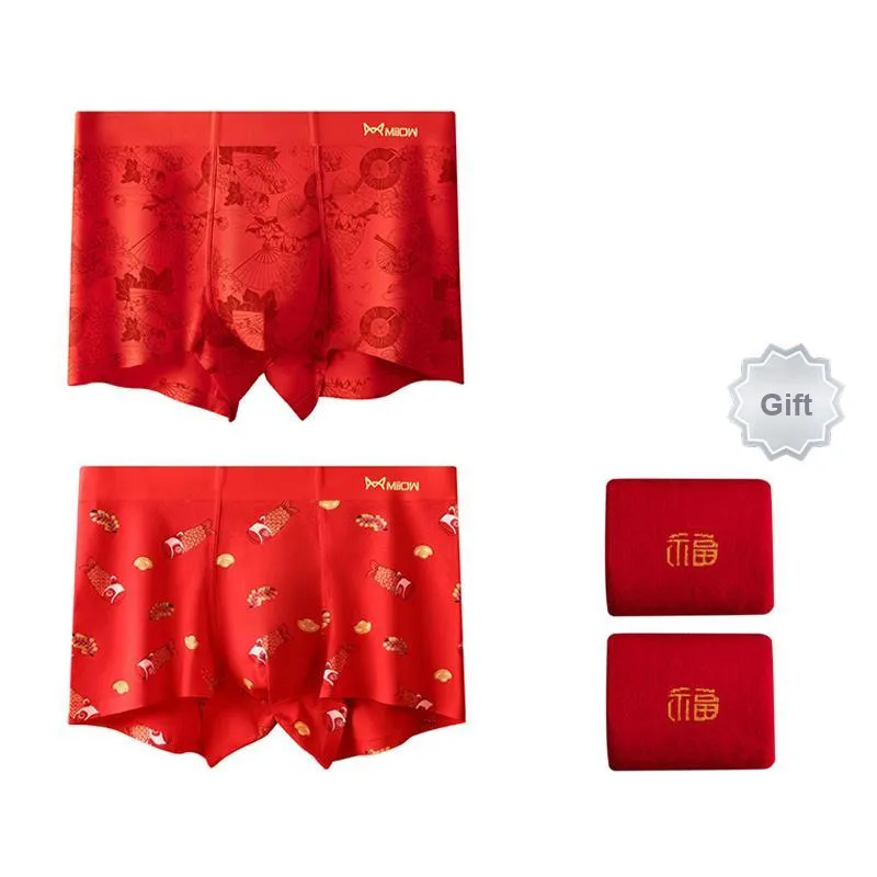 MIIOW Underpants Men's Gift Box Of 2 Strips-6