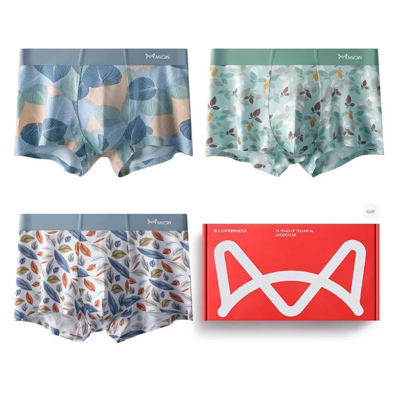 MIIOW Underwear Gift Box Men's Box 3 Pack-6