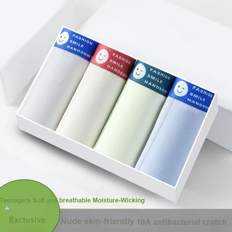 Herbal Primer Underpants Men's 4 Pack-16