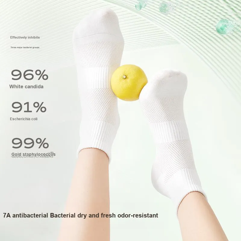 B&C.Room Ankle Socks Women's 5 Pack-2