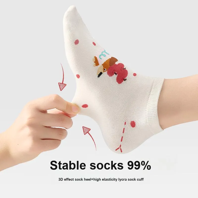 JKN No Show Socks Women's 5 Pack-2