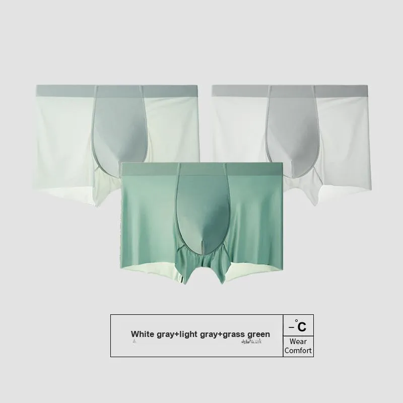 Icolor Men Underpants-23