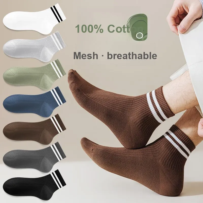 Montagut Mid Calf Socks Men's Gift Box Combination-28