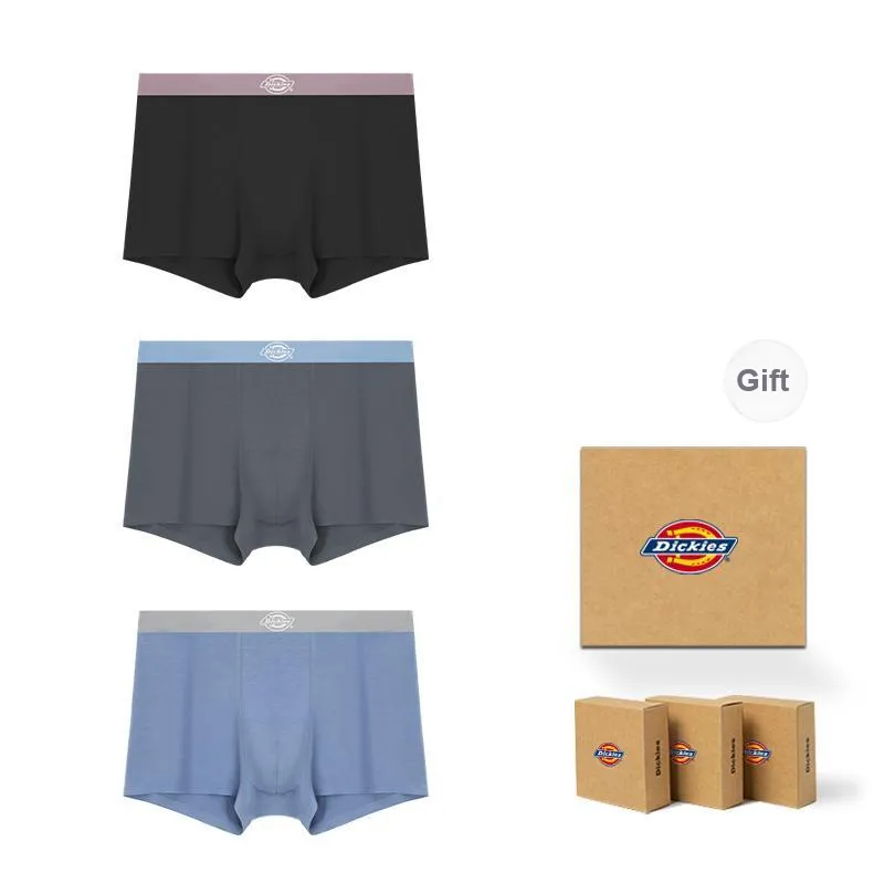 Dickies Underpants Men's Box 3 Pack-51