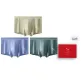 Fruit Green-Ice Blue-Gray Green