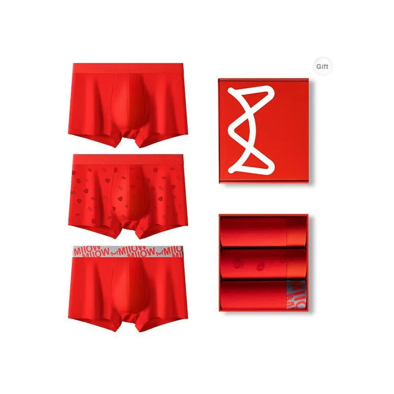 MIIOW Boxer Briefs Men's Box 3 Pack-6