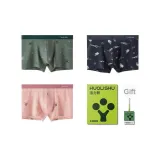 3 Dark Green+Light Gray+Cameo Brown