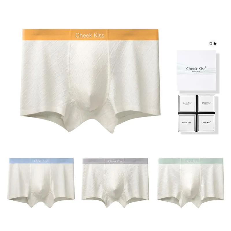 Cheekkiss Underpants Men's Box 3 Pack-19