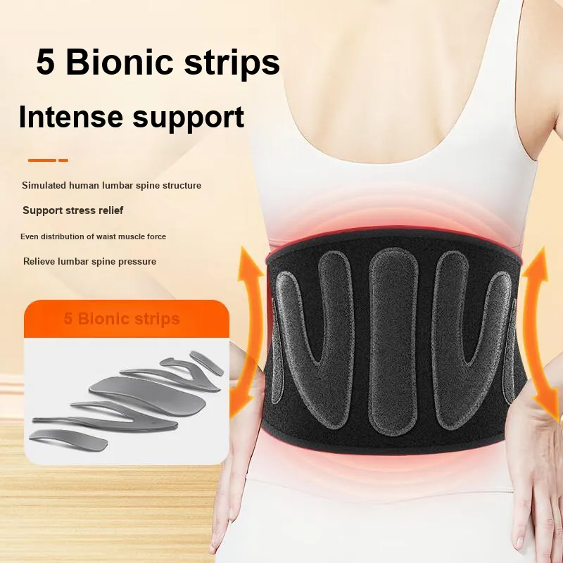 LIZI Back Support Braces Breathable Warm Protective Electric Heating Massage Black Unisex-1