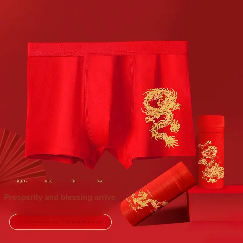 Lanza Underpants Men's 1 Pack Auspicious Year Of The Dragon-2