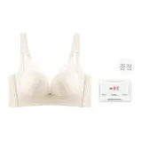 샴페인