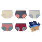 5-Pack (Yellow+Iron Ore Meteorite+White+Pink+Burgundy Red)