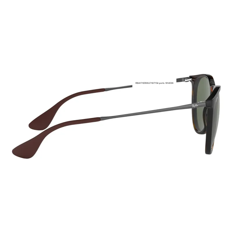 RayBan Erika Classic Sunglasses-2