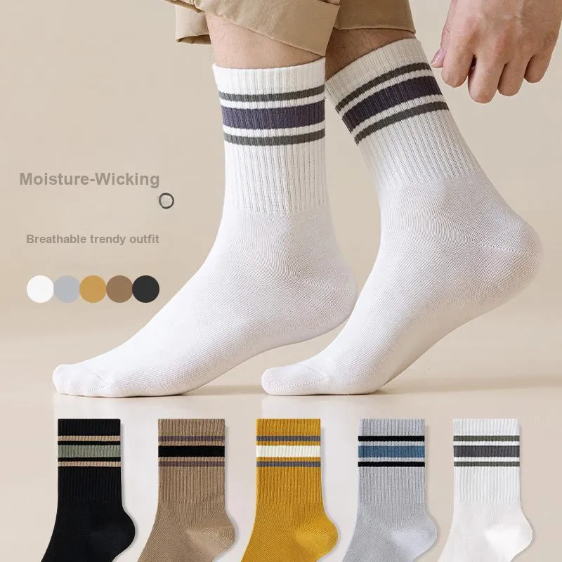 Lan Miao Mid Calf Socks Men's 5 Pack-2