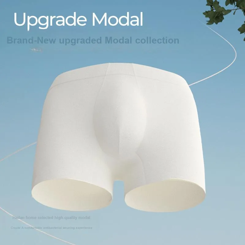 HLA Men Underpants-12