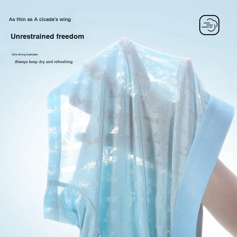 Lan Miao Underpants Men's 2 Pack-11
