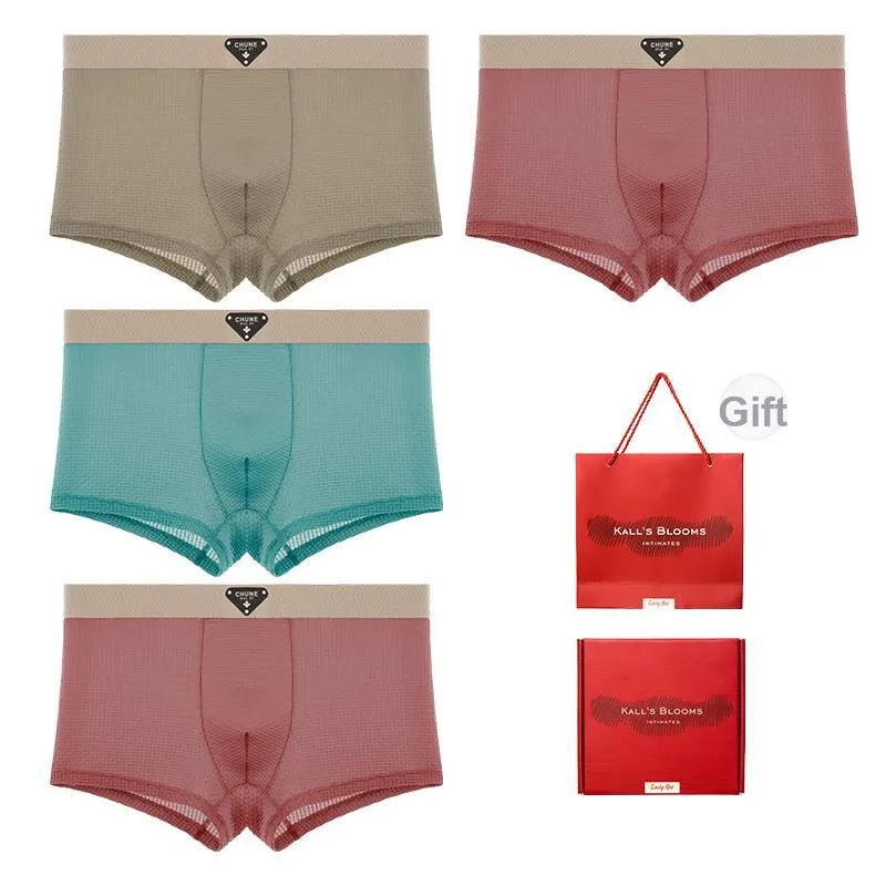 Maiden House Underwear Gift Box Men's 4 Pack-7