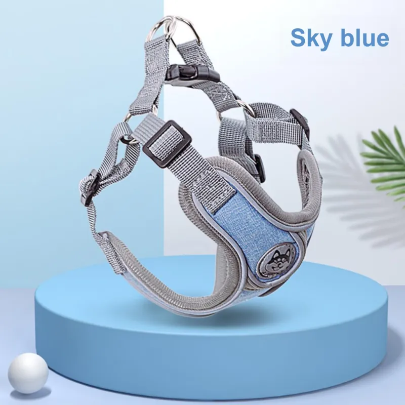 Kimpets Leashes-1