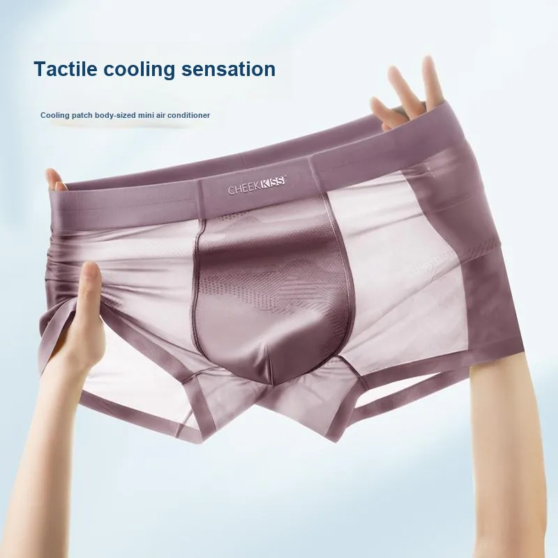 Cheekkiss Underpants Men's Box 4 Pack-11