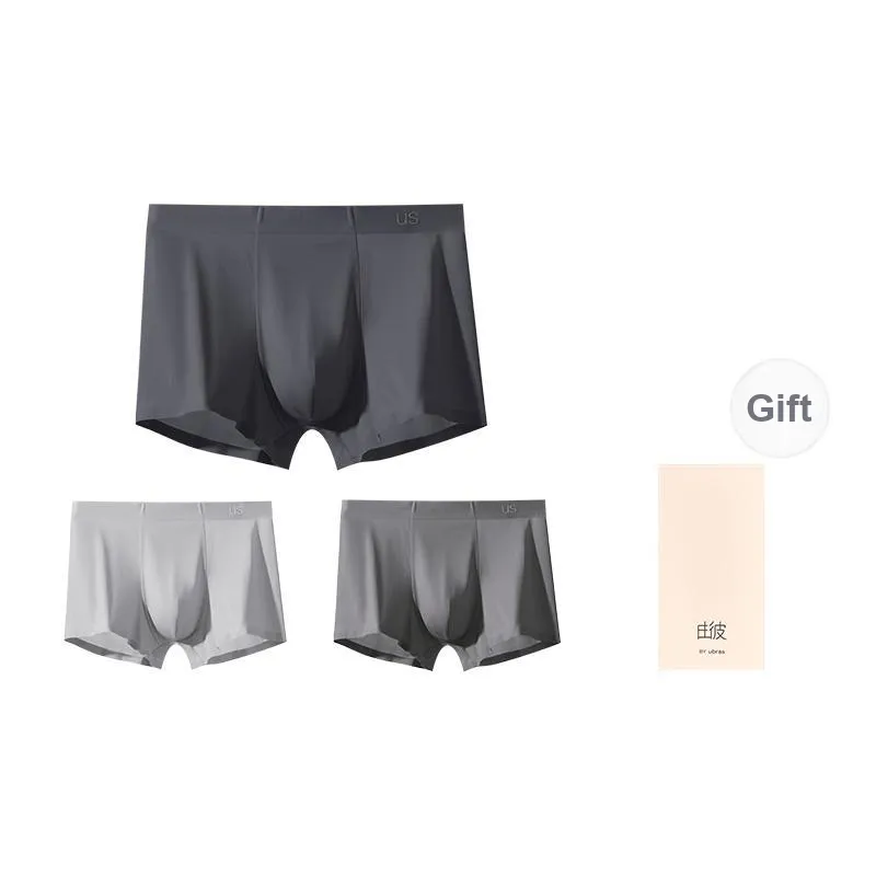 Ubras Men Underpants-17