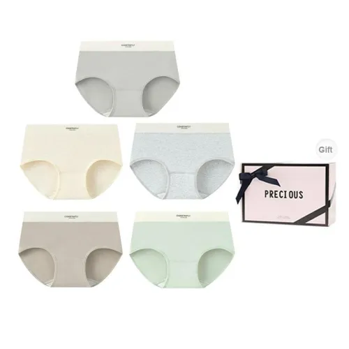 OEING Underpants Women's Box 5 Pack Image Color