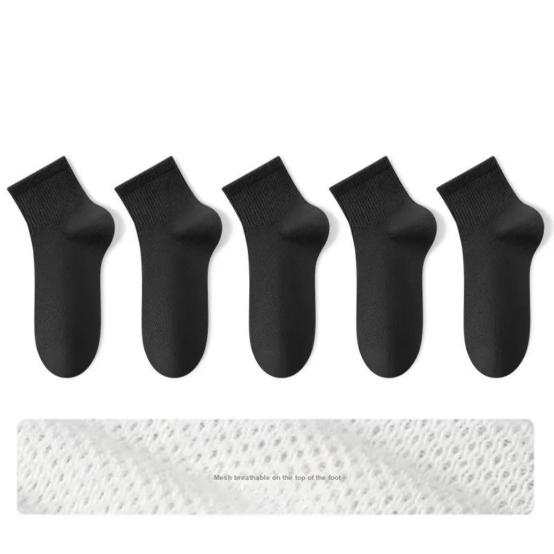 B&C.Room Mid Calf Socks Men's 5 Pack-7