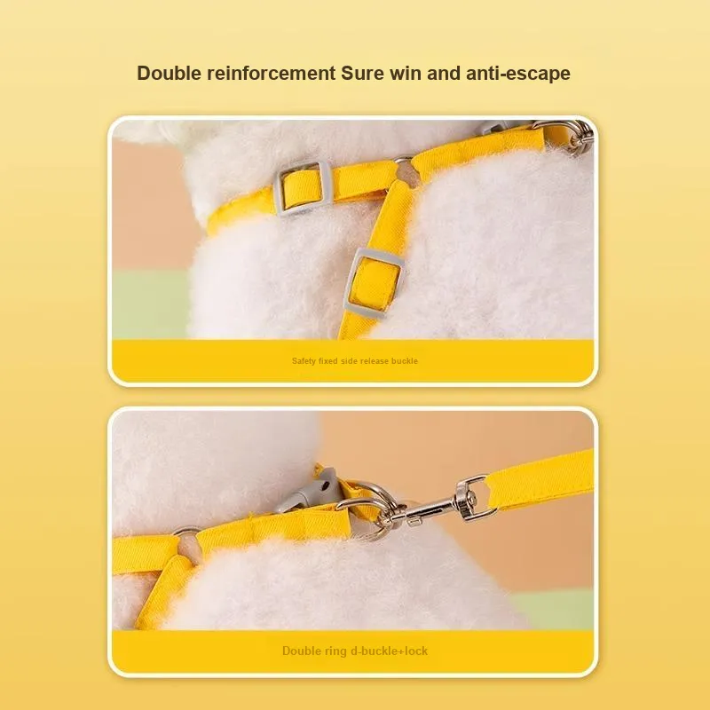 Hippie dogs Leashes-3