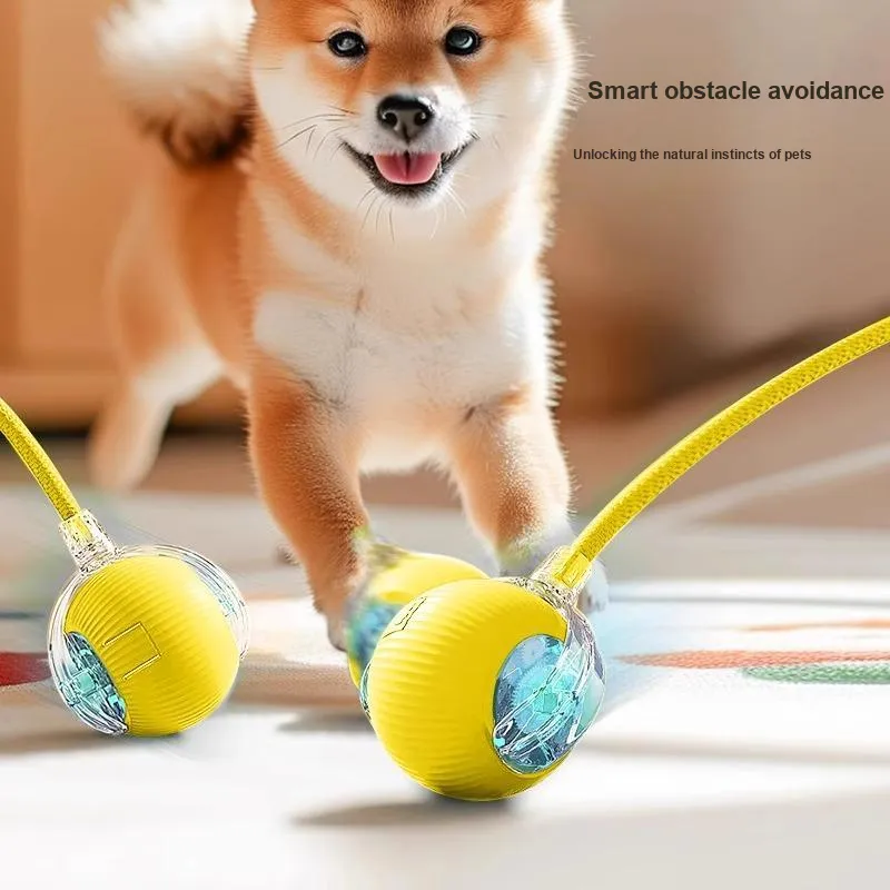 Hippie dogs Pet Toys-2