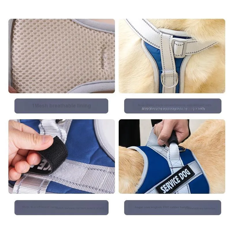 Pampering Leashes-12
