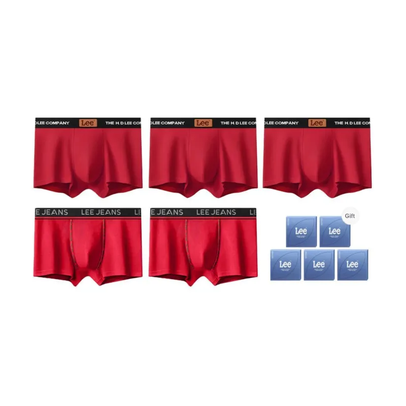 Lee Brilliant Underwear Gift Box Men's 5 Pack-27