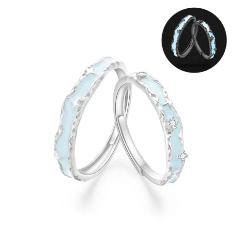 OWNCOOL S925 Silver Rings Unisex