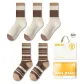 White Brown & White Stripes 2 (5 Pack)