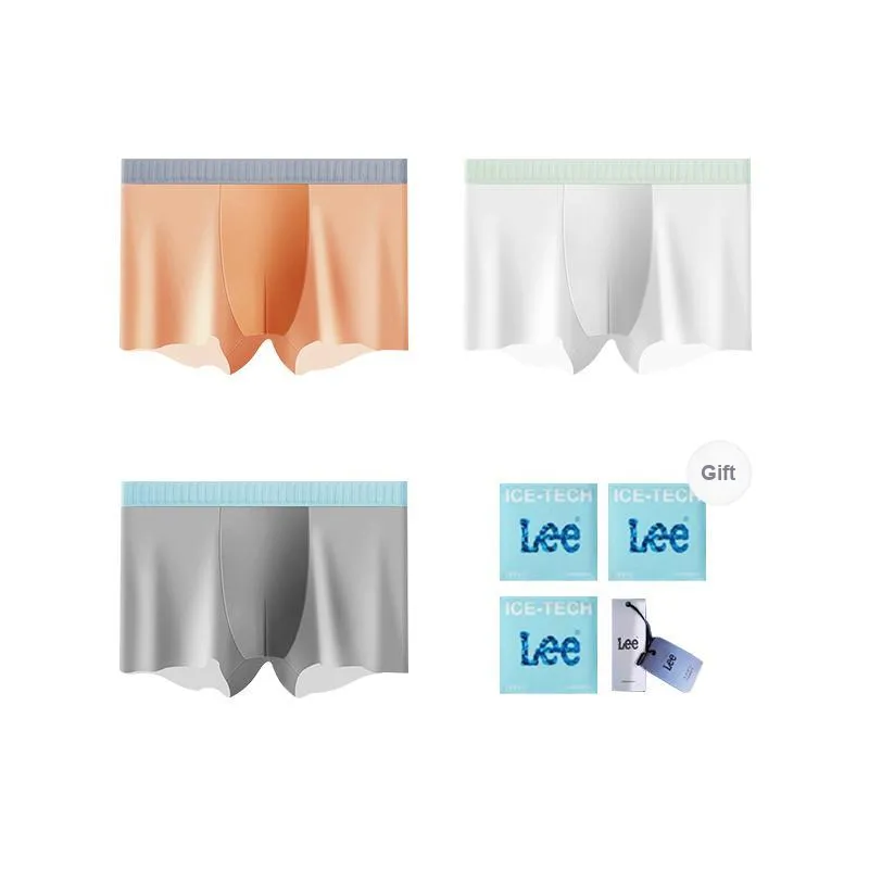 Lee Underpants Men's Box 3 Pack-1