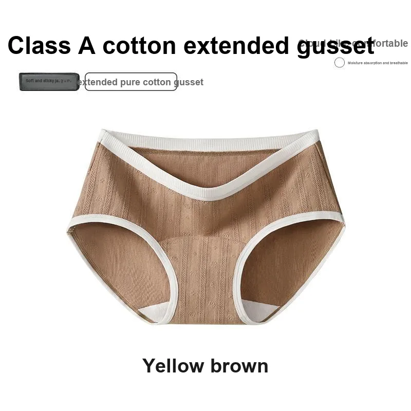 Taste The Color Underpants Women's Combo Set-24