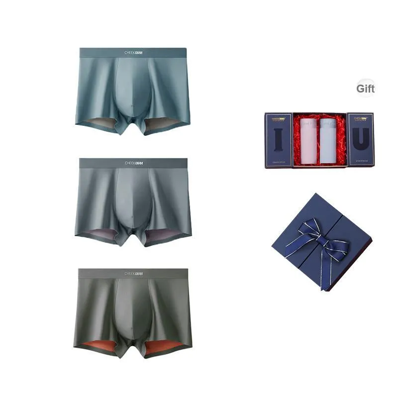 Cheekkiss Underpants Men's Box 3 Pack